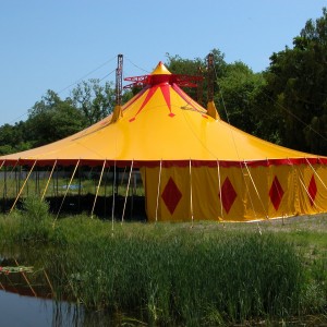 T12