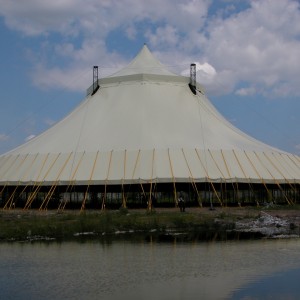 T6