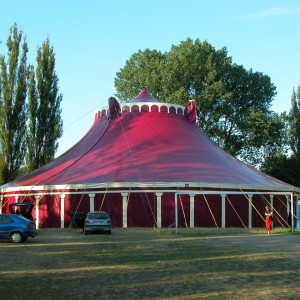 T13