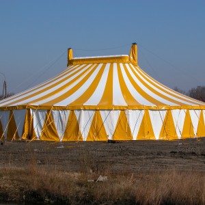 T15